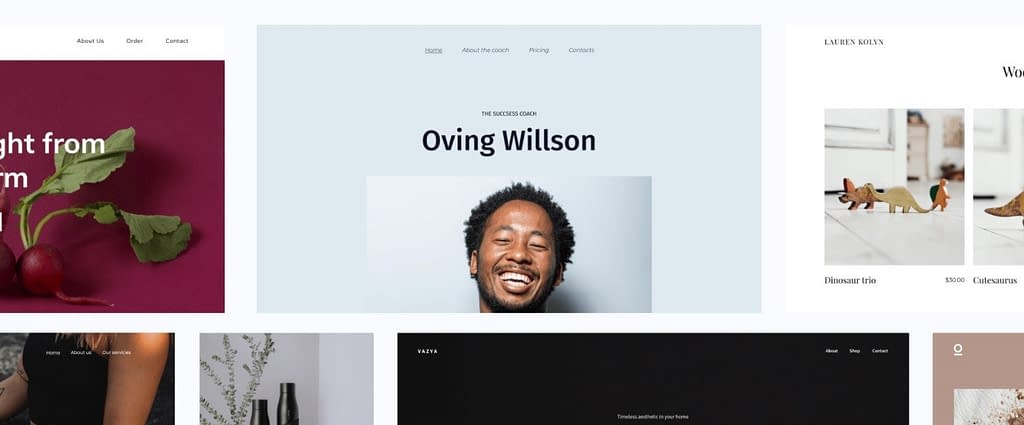 hostinger website builder templates